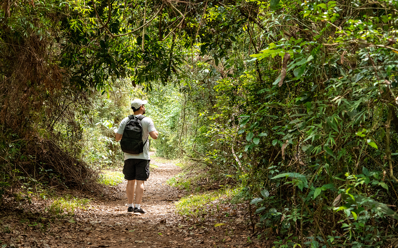 Tourists walking on a Macuco trail surrounded by lush greenery towards Iguazu Falls, Argentina.