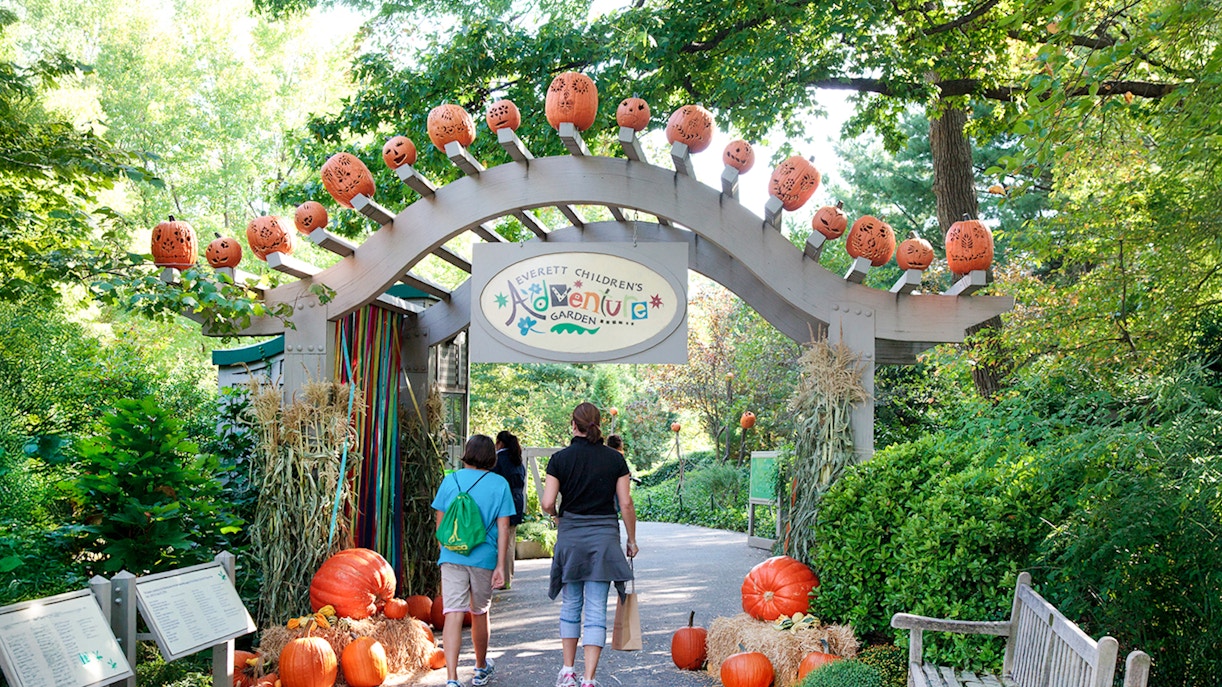 Everett Children's Adventure Garden entrance with Halloween pumpkins at NYBG.