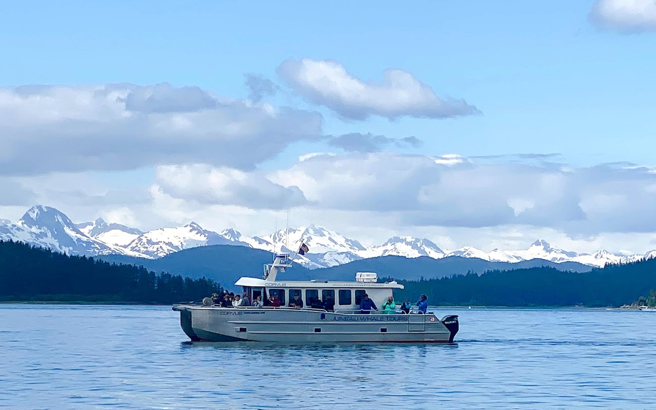 Catamaran on Juneau whale watching tour with snowy mountains in the background.