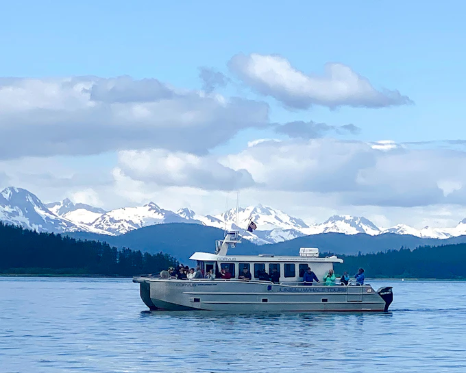 Juneau Small-Group Catamaran Whale Watching Tour