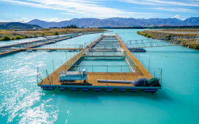 From Christchurch: Private Mount Cook Day Trip via Lake Tekapo and Lake Pukaki with Salmon Tasting