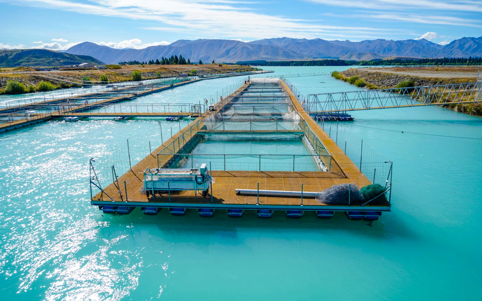 From Christchurch: Private Mount Cook Day Trip via Lake Tekapo and Lake Pukaki with Salmon Tasting Image 2