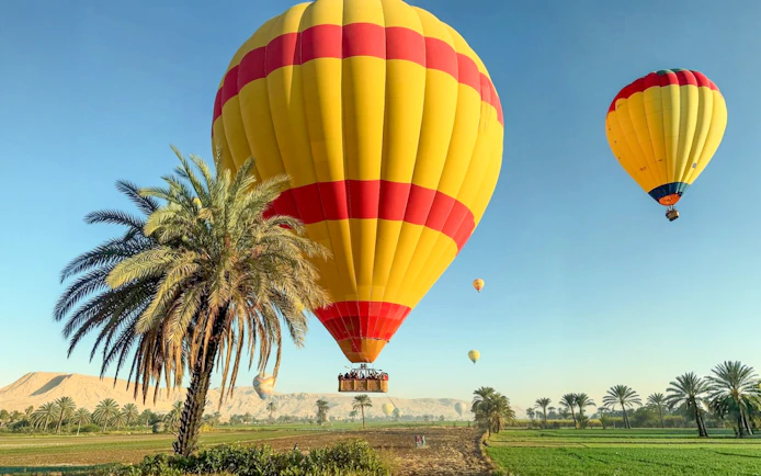 Hot air balloons over Luxor landscape with palm trees and distant mountains.