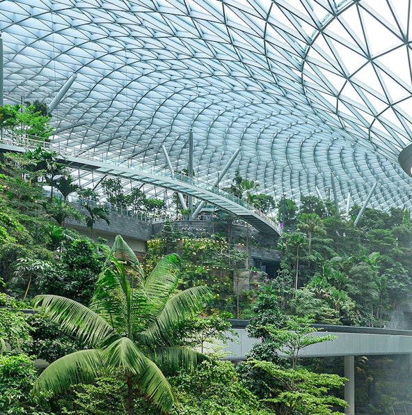 Visit Canopy Park Jewel Changi, nature’s wonderland