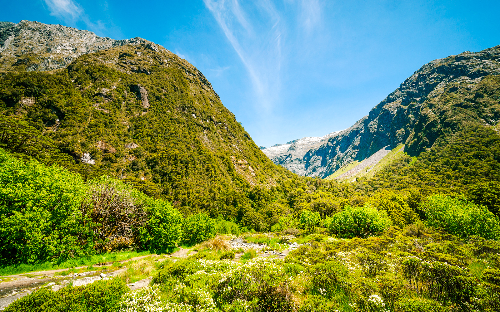 Gertrude Valley Aussichtspunkt