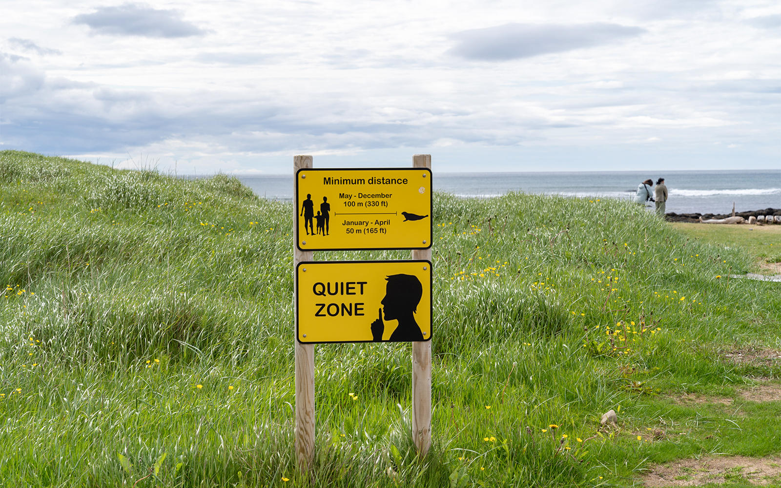 Signs reminding tourists to keep distance between them and wildlife and of the quiet zone in Iceland