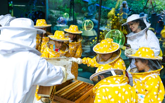 Beekeeping workshop with participants in protective gear at Terra, Expo City Dubai.