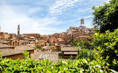 Siena Private Walking Tour with a Local Guide