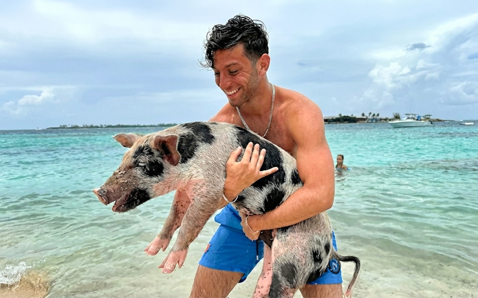 Man holding a pig in the water at Mansa Bay, Private Island Day Trip.