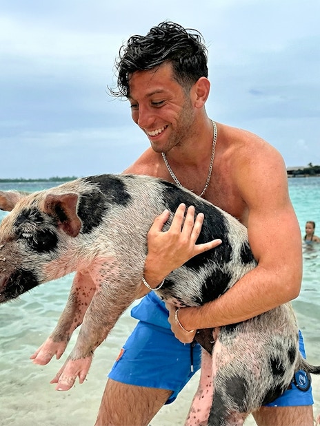 Man holding a pig in the water at Mansa Bay, Private Island Day Trip.