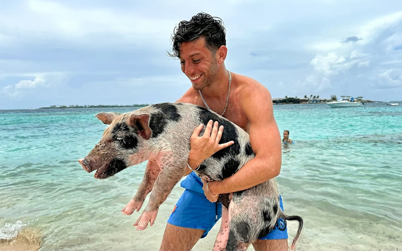 Man holding a pig in the water at Mansa Bay, Private Island Day Trip.