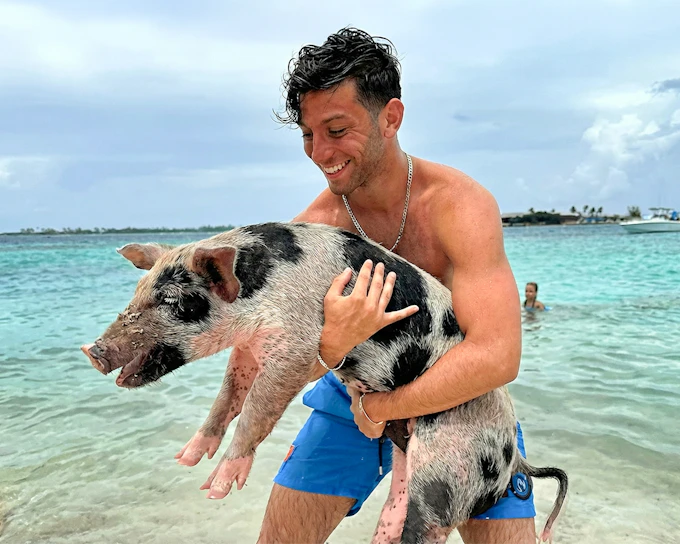 Mansa Bay Private Island: Swim with Pigs Half Day Trip with Snorkelling & Lunch