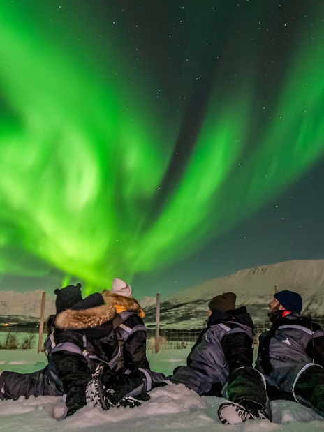 Group watching northern lights in snowy landscape, Norway.