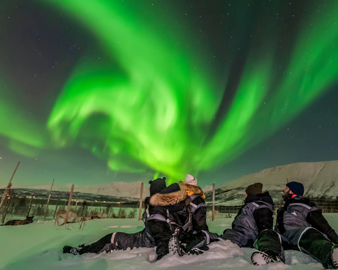 Reykjavik: Northern Lights Small Group Bus Tour with Hot Chocolate & Surprise Gift