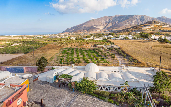 Vineyard landscape in Santorini with mountains and sea in the background.