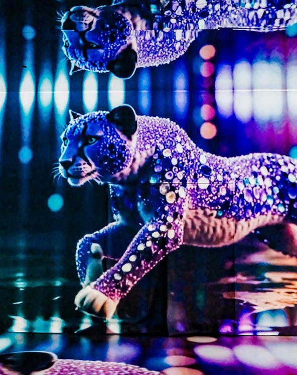 Leopard light display with vibrant colors and reflections at MIRACLEWORLD Osaka.