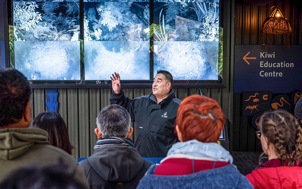 Guide explaining exhibits at Kiwi Education Centre, Te Puia, New Zealand.