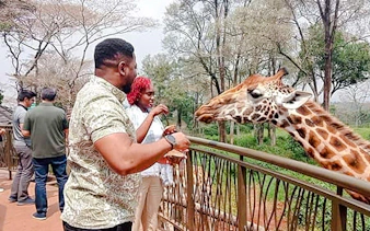 Visitors feeding a giraffe at Nairobi's Giraffe Centre during a guided tour.
