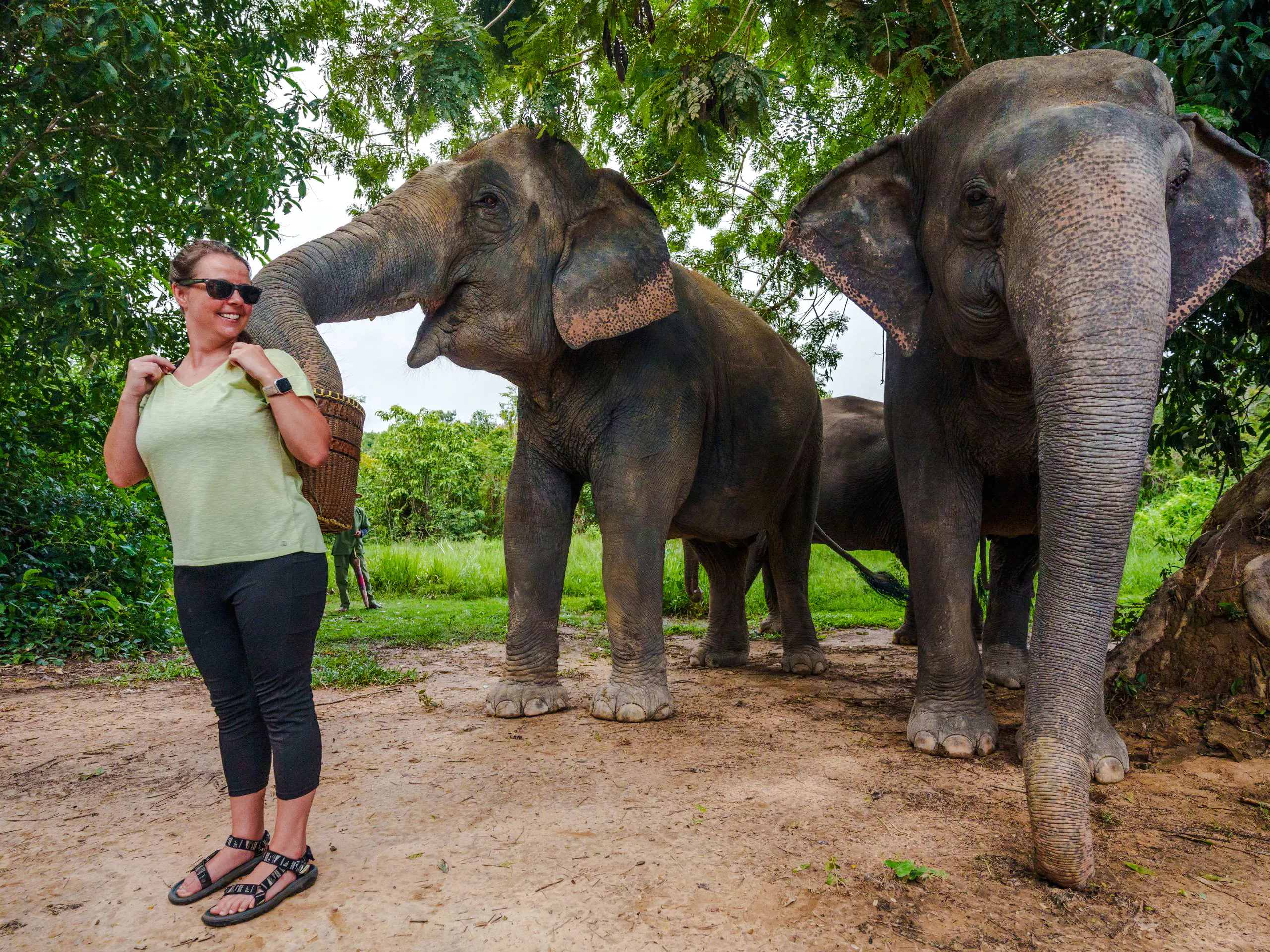 {
  "experiencename": "from siem reap: kulen mountain waterfall & kulen elephant forest tour with picnic lunch"
}-8
