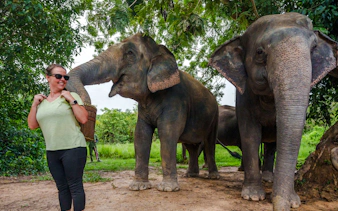 {
"experiencename": "from siem reap: kulen mountain waterfall & kulen elephant forest tour with picnic lunch"
}-8