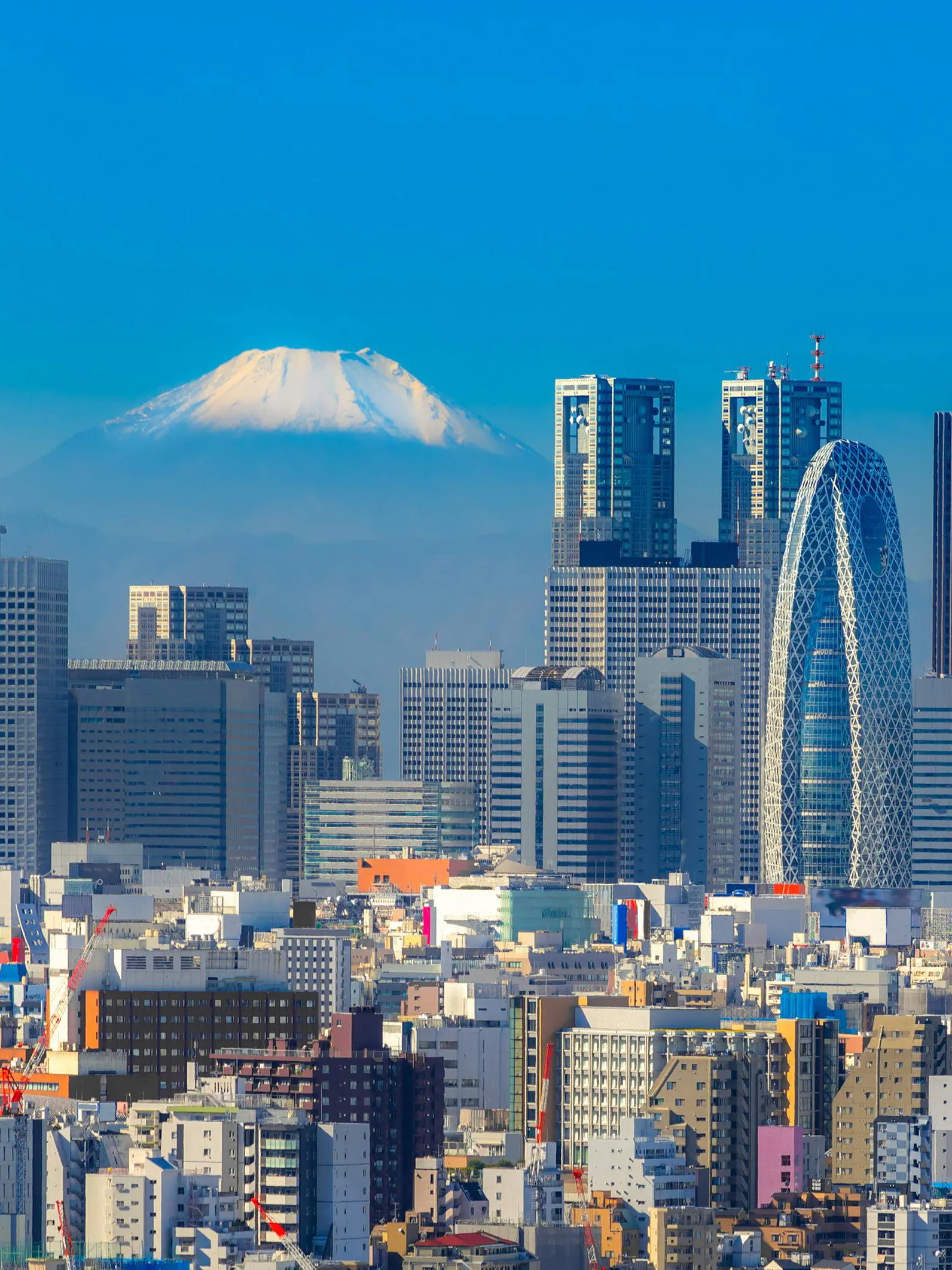Shinjuku skyline with skyscrapers and Mount Fuji in the background, Tokyo, Japan.