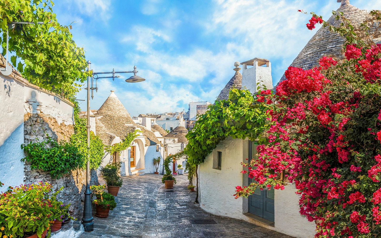 Trulli houses with stone roofs and vibrant flowers in Alberobello, Apulia, Italy.