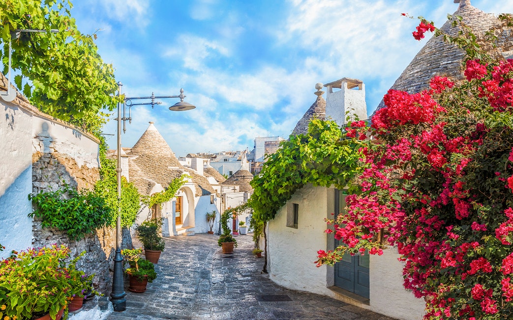 Trulli houses with stone roofs and vibrant flowers in Alberobello, Apulia, Italy.