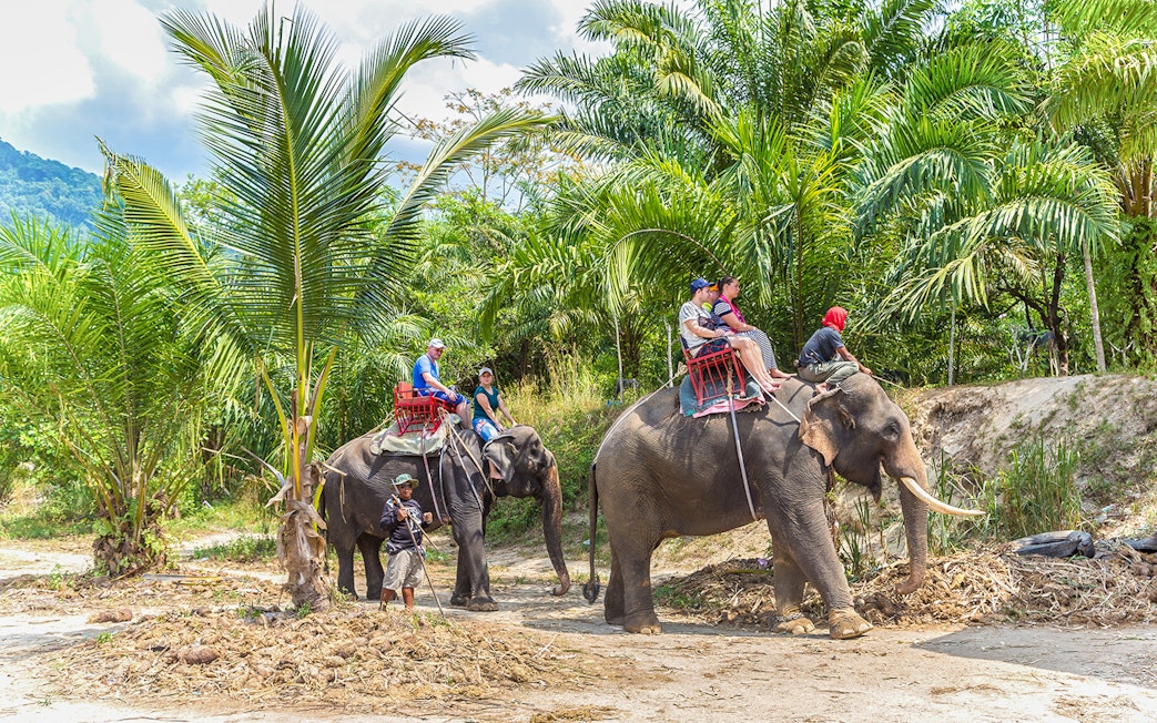 Tourists riding elephants through lush greenery in Thailand.