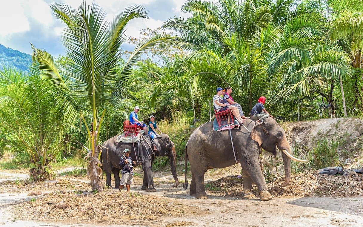 Tourists riding elephants through lush greenery in Thailand.