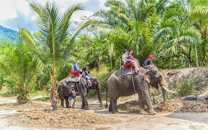 Tourists riding elephants through lush greenery in Thailand.