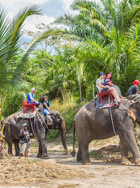 Tourists riding elephants through lush greenery in Thailand.