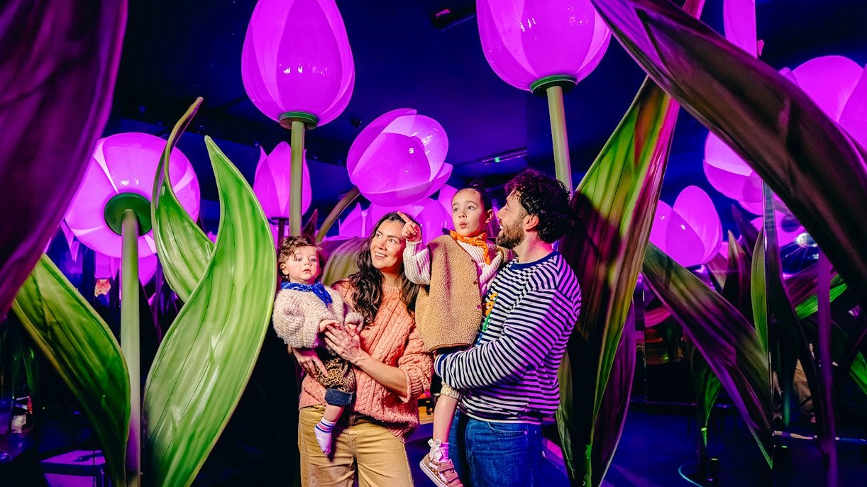 Guests exploring illuminated tulip exhibit in Holland experience.
