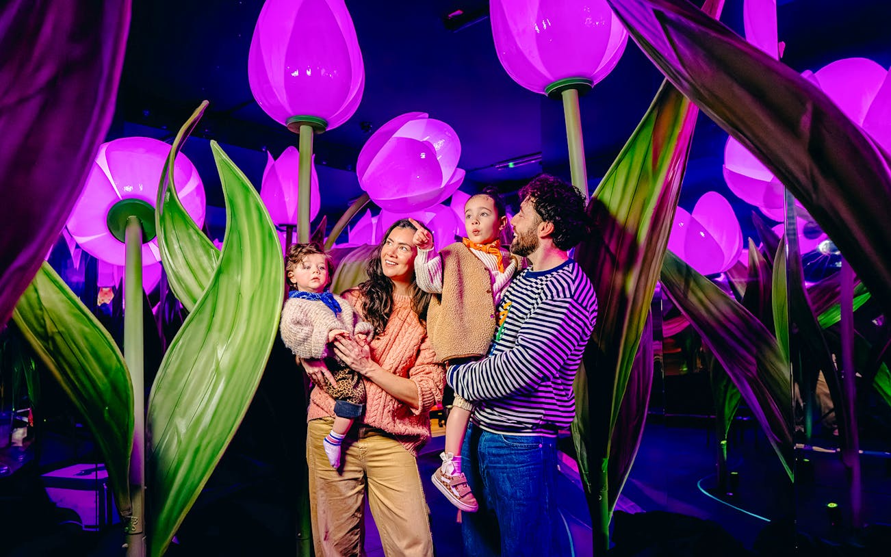 Guests exploring illuminated tulip exhibit in Holland experience.