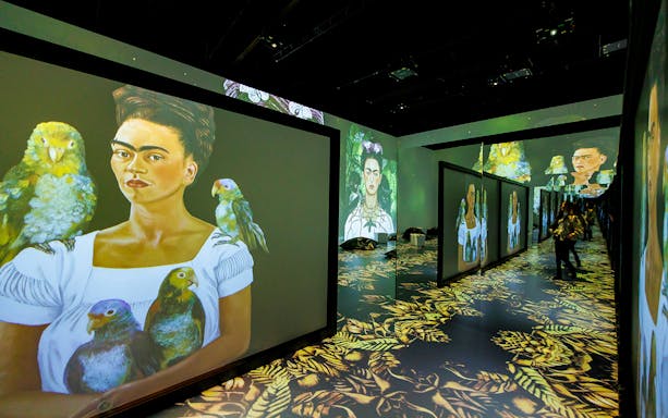 Frida Kahlo portraits projected in immersive exhibition space with visitors exploring.