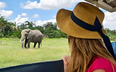 Elephant in Amboseli viewed from safari vehicle, with tourist observing.