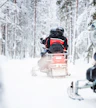 Sentieri nella foresta artica e nella tundra — Safari in motoslitta