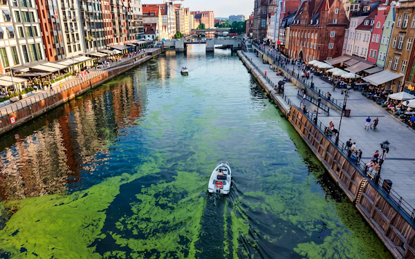 From Gdańsk: Motława Sunset Cruise on Electric Boat with a Drink and Old Town Views 