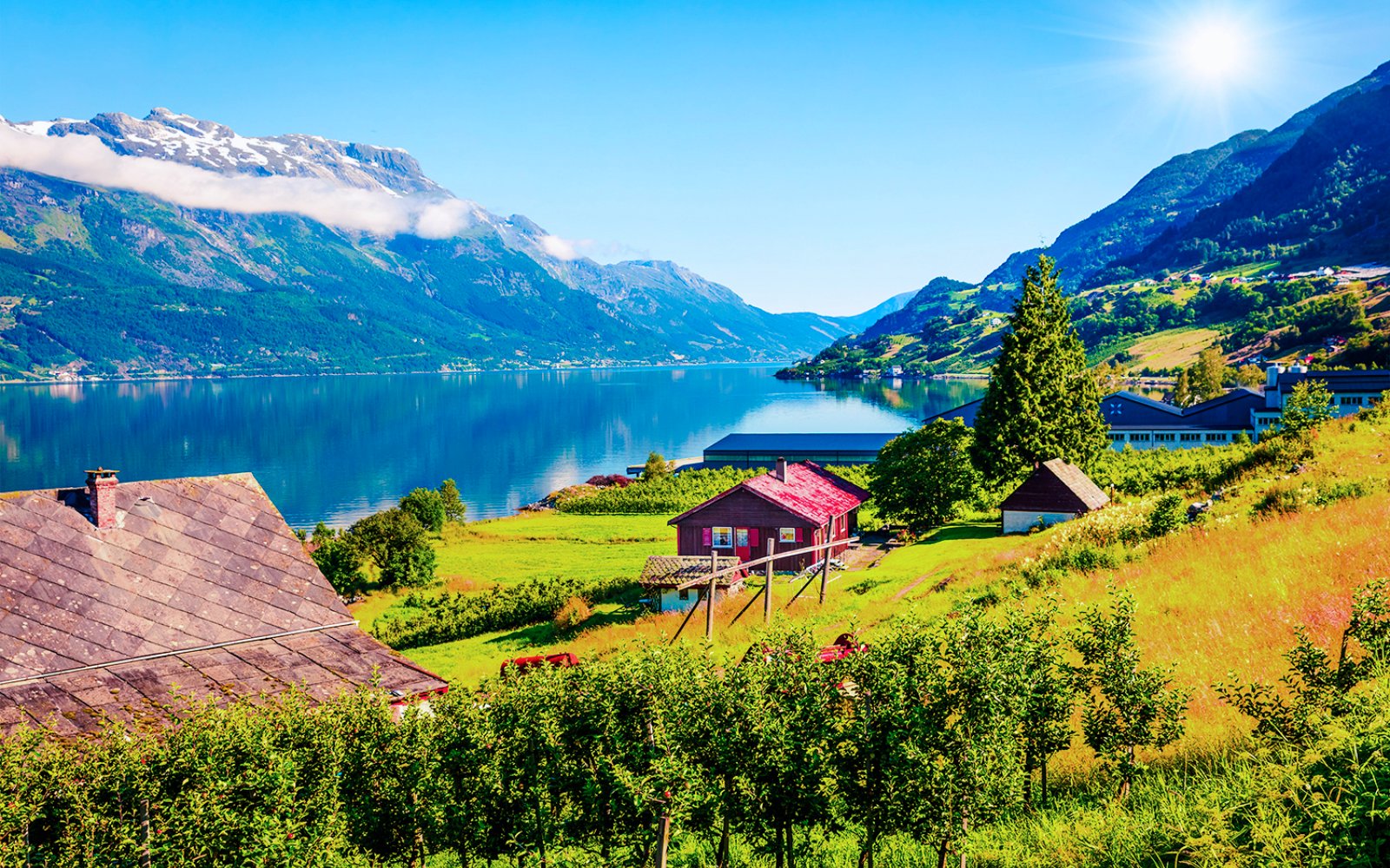 Øystese village along Hardangerfjord in Norway with houses, greenery, and mountains.
