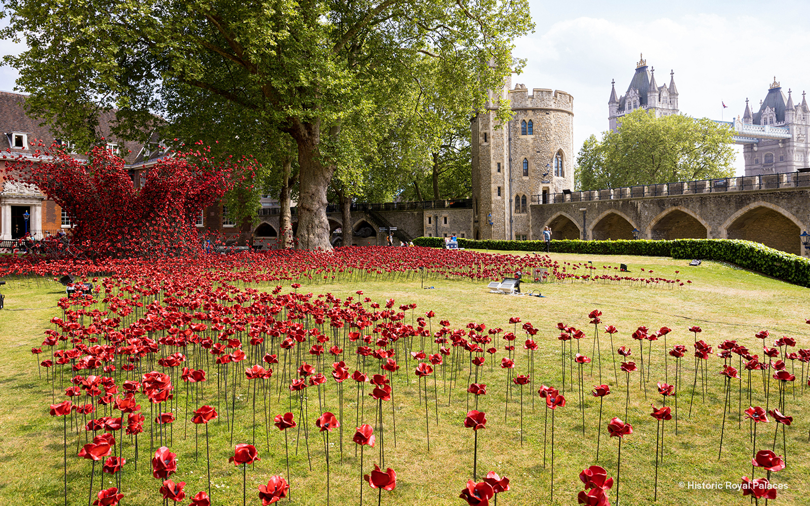 Don’t miss The Tower Remembers: A Powerful new installation at the Tower of London