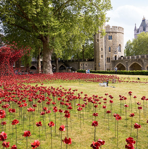 Don’t miss The Tower Remembers: A Powerful new installation at the Tower of London