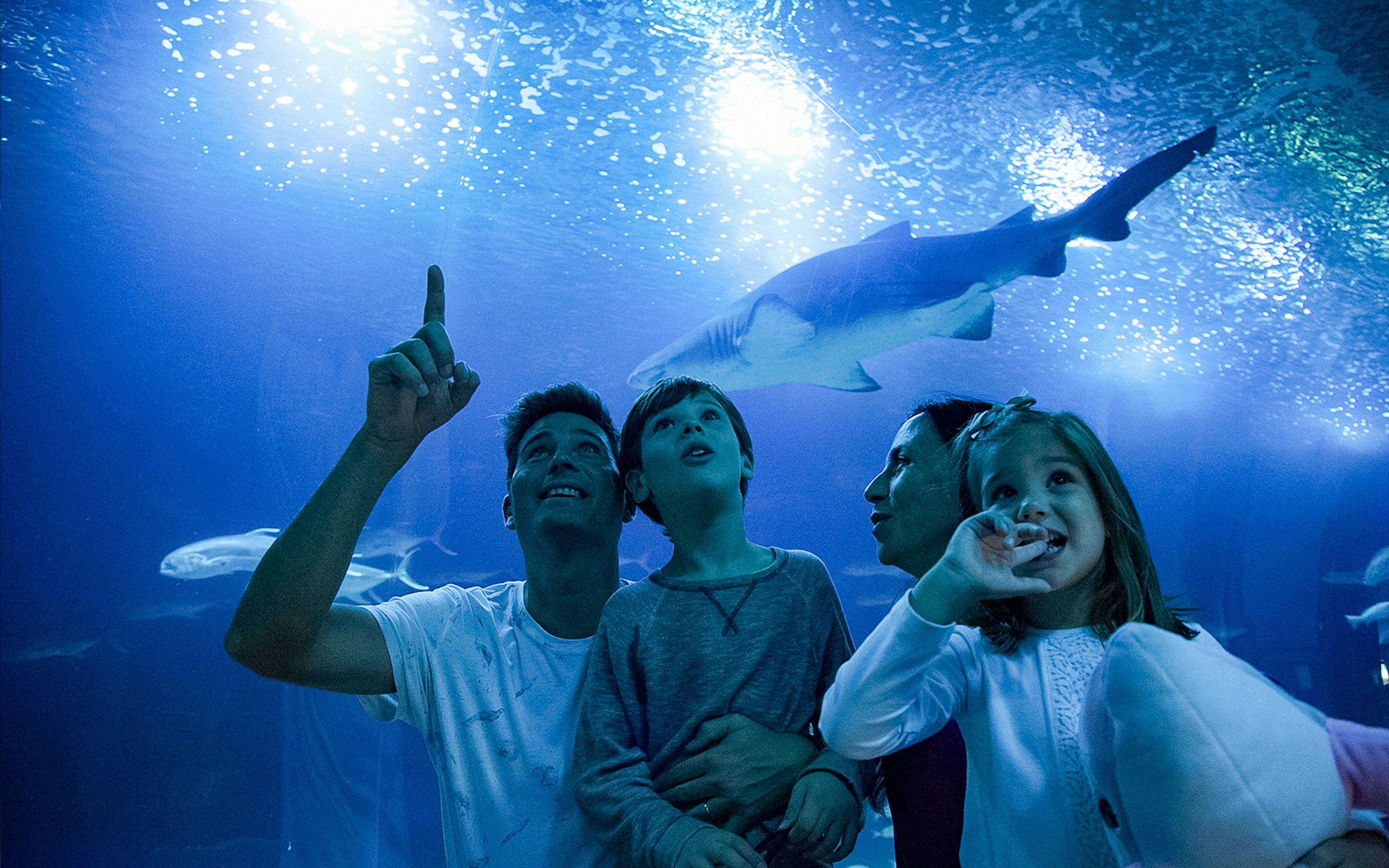 Family at the Oceanogràfic oceanarium in Valencia, Spain