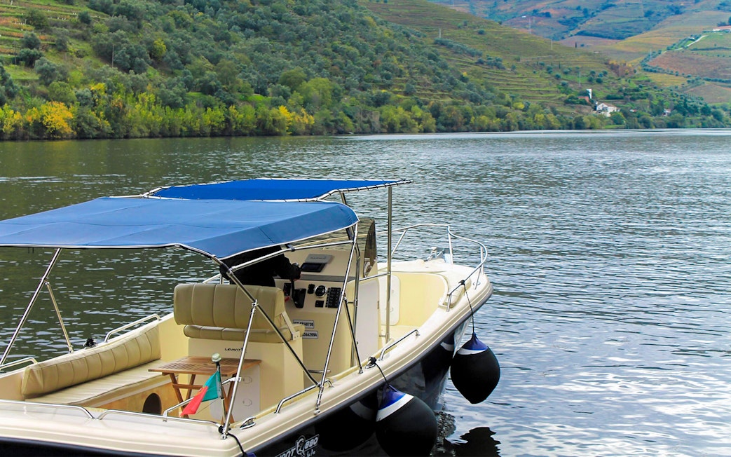 Boat on Douro River with hillside vineyards in the evening, Portugal.