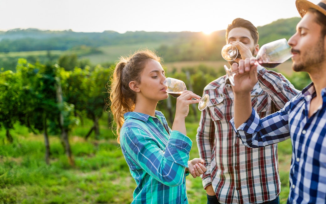 Tourists enjoying wine tasting in a Chianti vineyard at sunset.