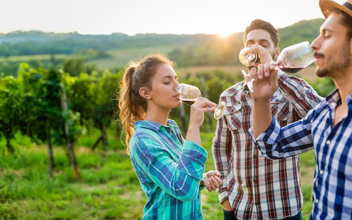 Tourists enjoying wine tasting in a Chianti vineyard at sunset.