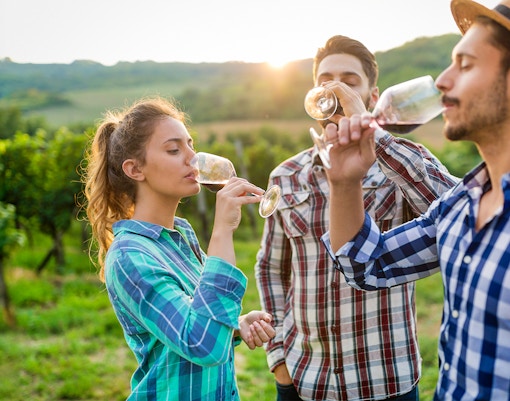 Tourists enjoying wine tasting in a Chianti vineyard at sunset.