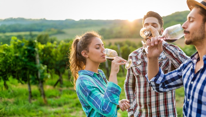 Tourists enjoying wine tasting in a Chianti vineyard at sunset.