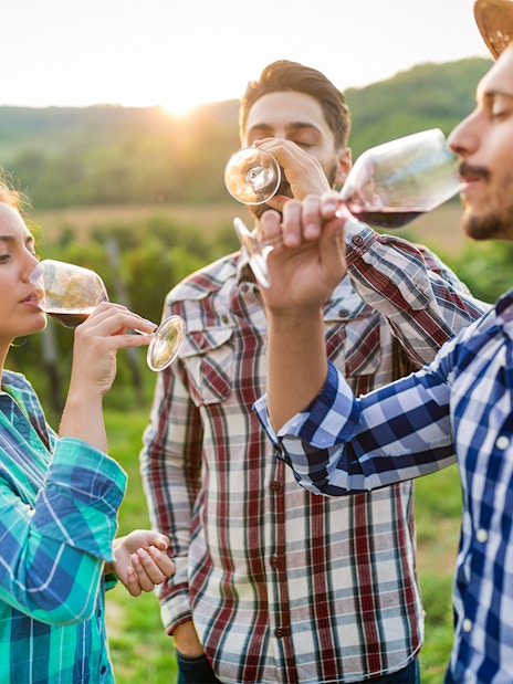 Tourists enjoying wine tasting in a Chianti vineyard at sunset.
