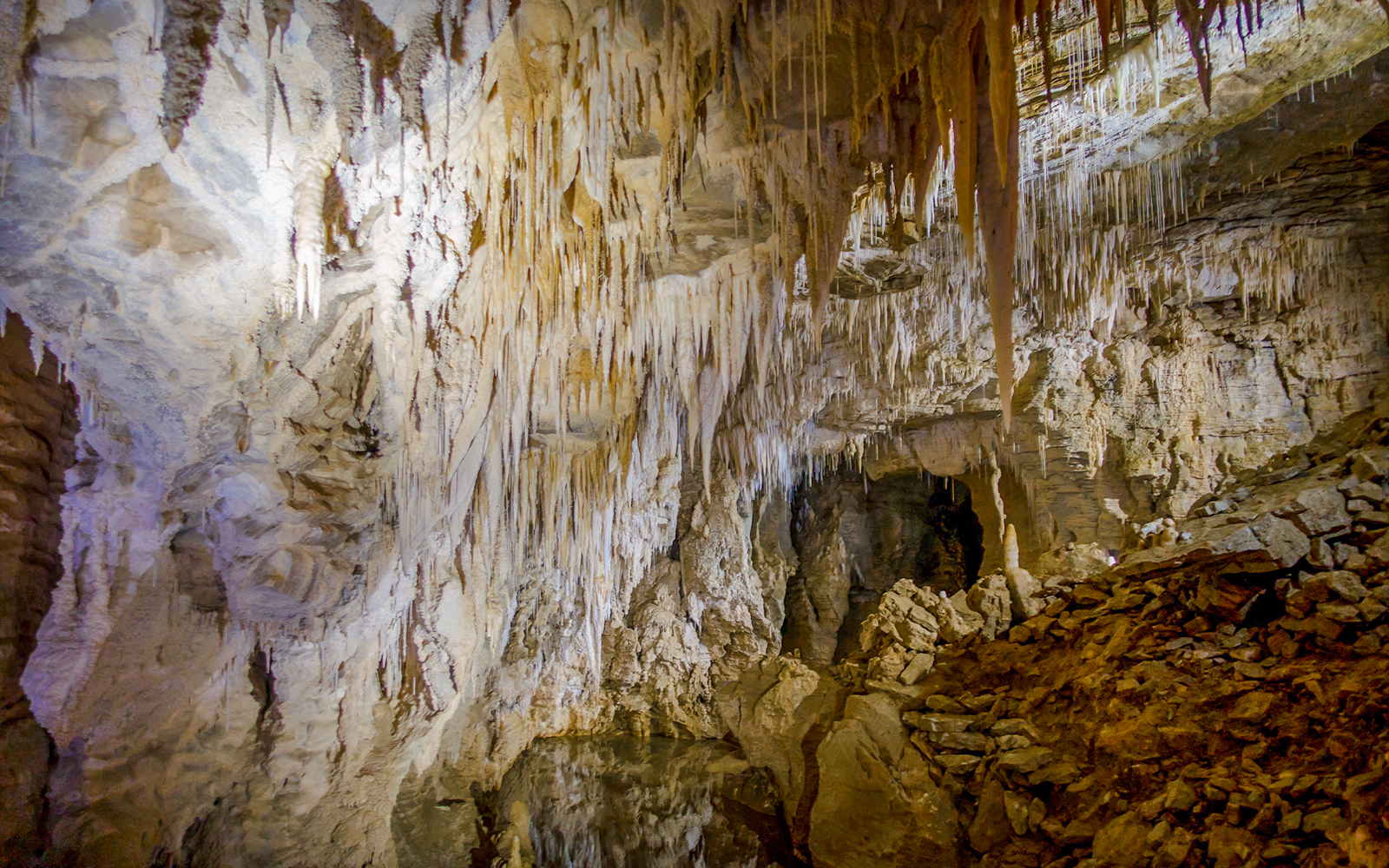 Stalagmites and stalactites in Ruakuri Cave, Waitomo, New Zealand.