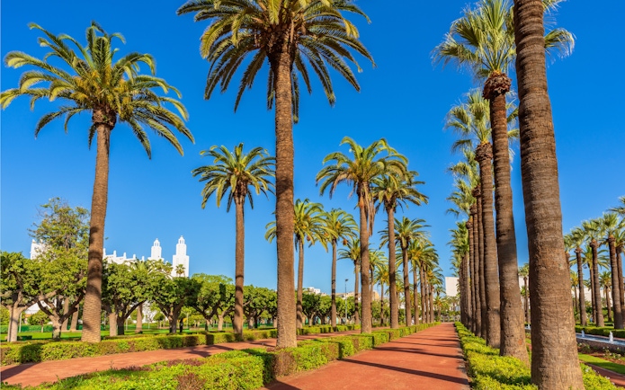 Palm-lined path in Arab League Park, Casablanca, Morocco.