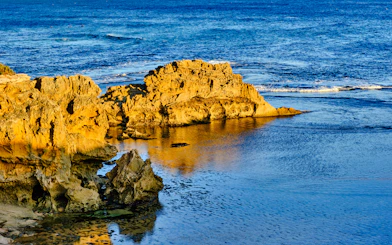 Blowholes and rock formations along Phillip Island's coastline.